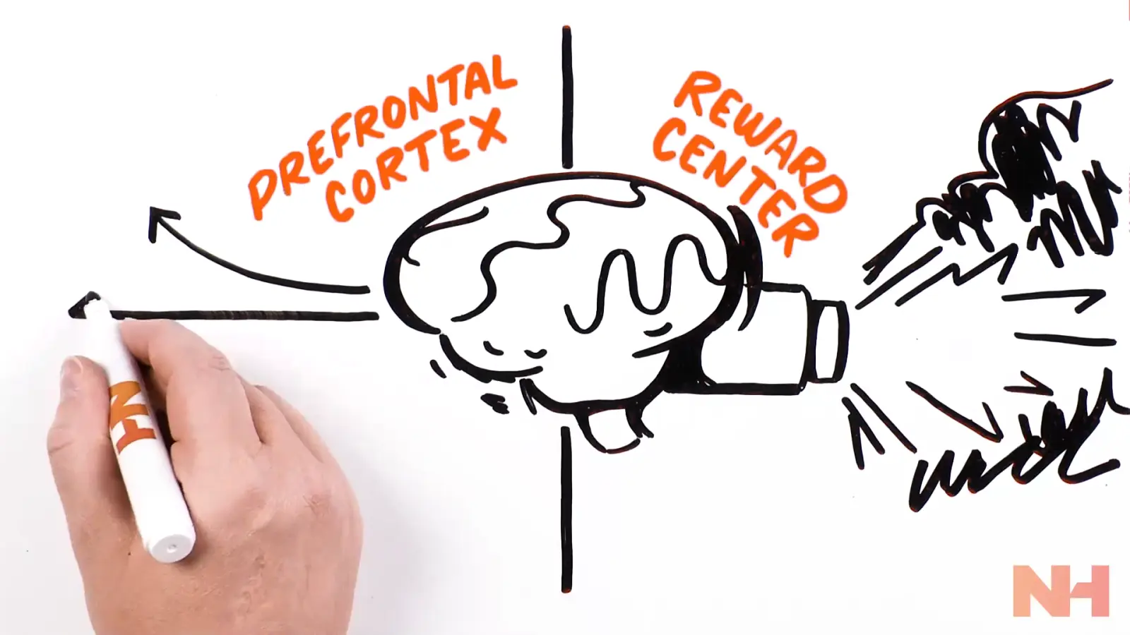 Hand-drawn brain illustration from a TruScribe video