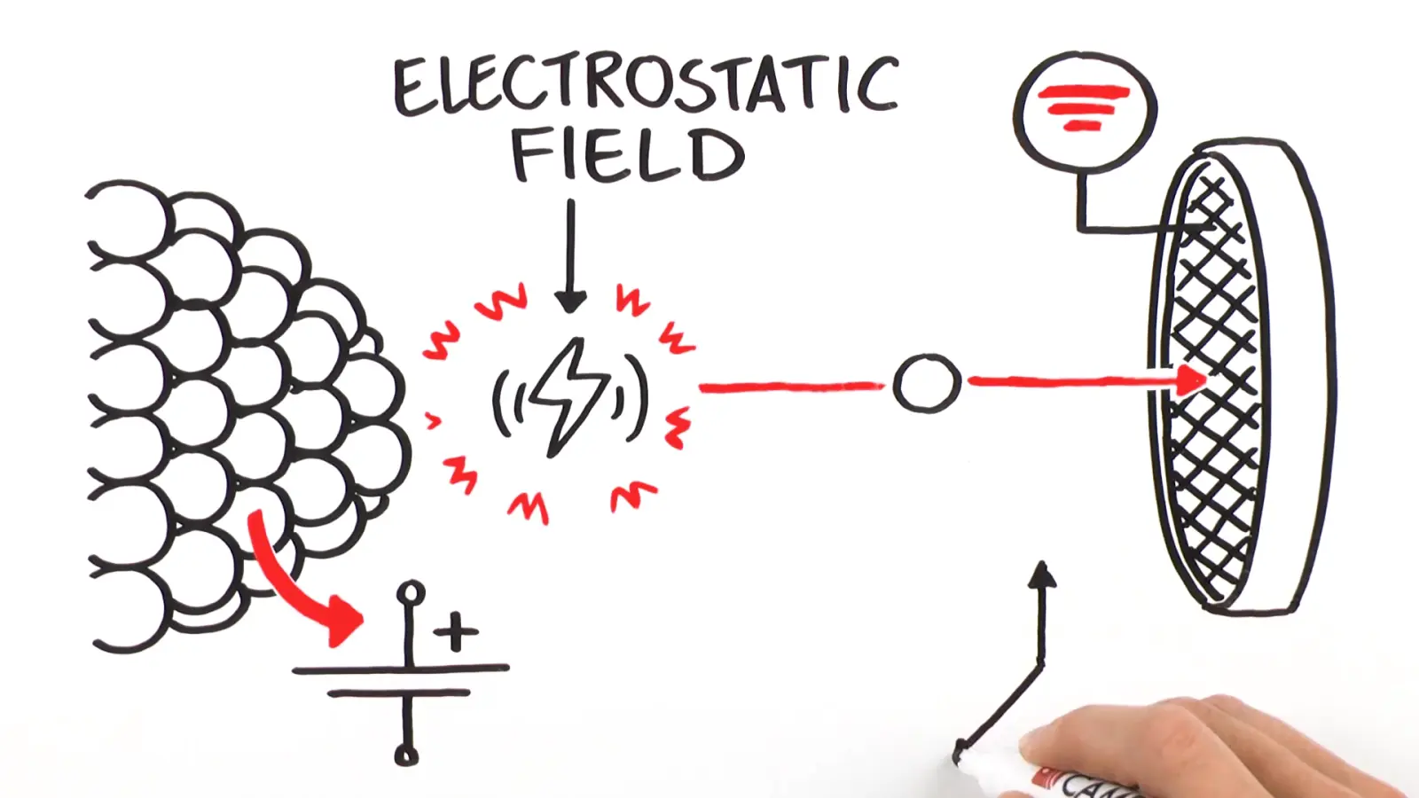Frame from a TruScribe Life Sciences & Medical Communication video