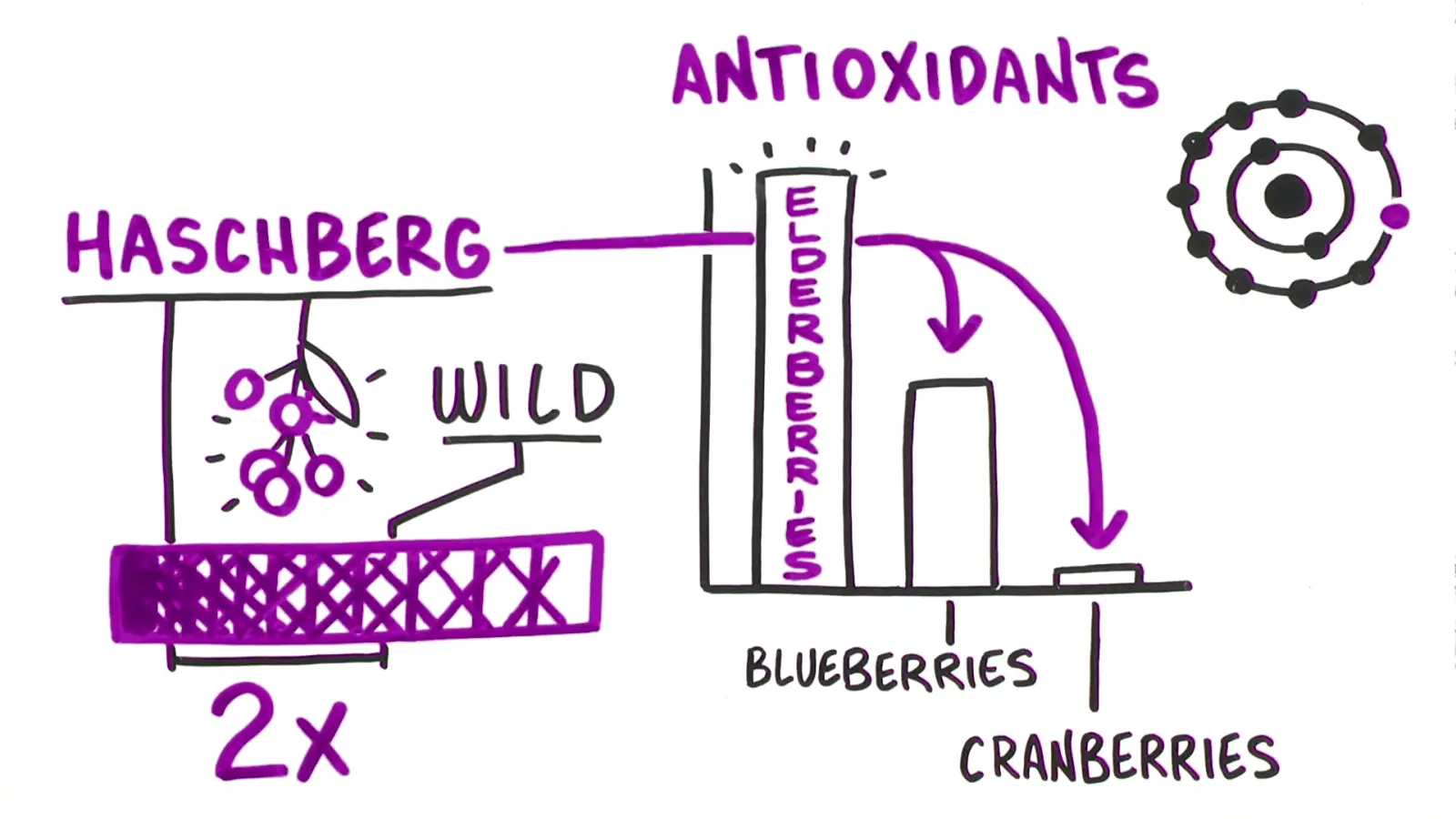 Frame from a TruScribe Product & Service Marketing video