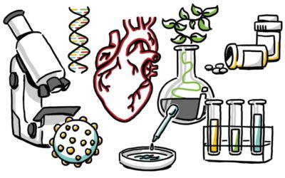 Whiteboard Video Production for the Biotech and Medical Device Industry: A Step-by-Step Guide
