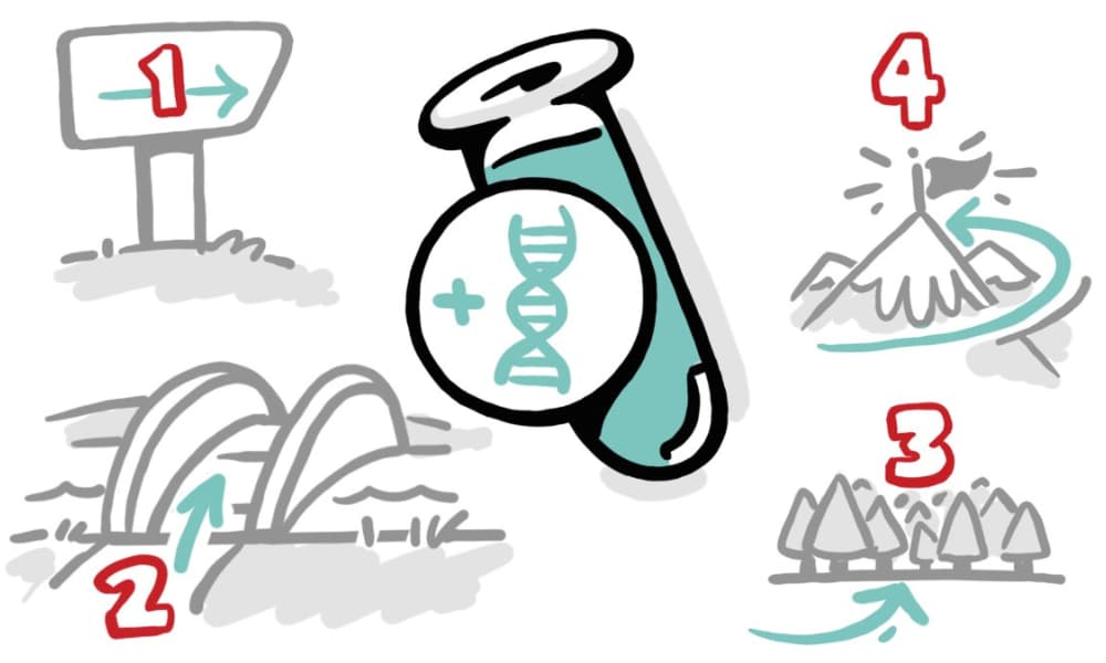 Custom Whiteboard Animation: The Key to Making Brilliant Science Understandable