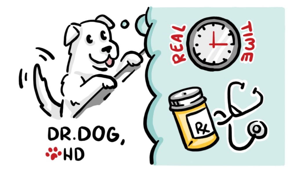 Illustrated dog doctor presenting medication, time, and stethoscope icons to show how real-time visuals simplify complex medical concepts and treatment processes.