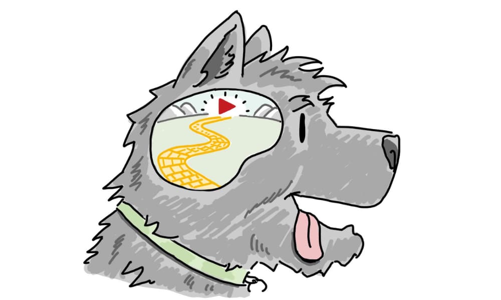Illustration of a dog’s head with a winding path and play button inside its brain, symbolizing how the brain filters workplace information and prioritizes messages.